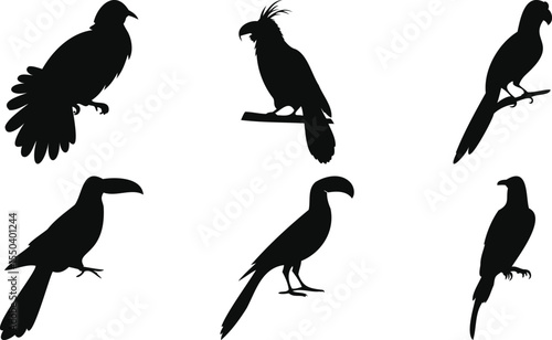 Tropical Birds Resting Silhouettes