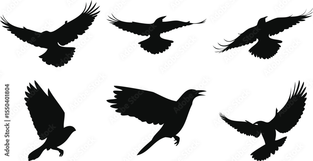 Obraz premium Small Birds in Flight Shapes