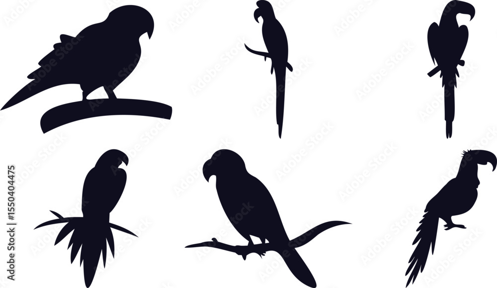 Obraz premium Parrot and Macaw Silhouette Pack