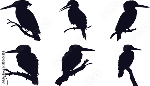 Kingfisher Silhouettes Set