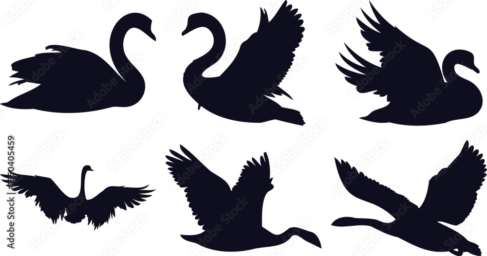 Obraz premium Graceful Swan Silhouettes