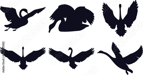 Swan Love and Flight Set