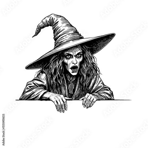 A wicked witch with a pointed hat, long hair, and a menacing expression peers over a blank sign, ready to cast a spell or deliver a message.  vector illustration