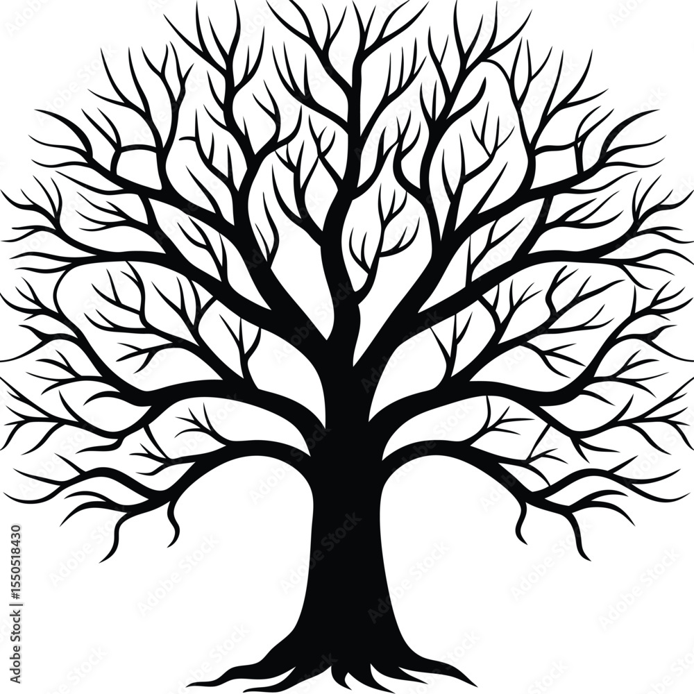 Obraz premium Tree Without Leaves Silhouette