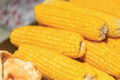 Fresh yellow corn cobs stacked together in close-up view