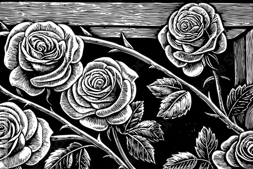 Blooming rose with detailed petals and thorns along the curved stem, a black and white sketch vector hand drawn