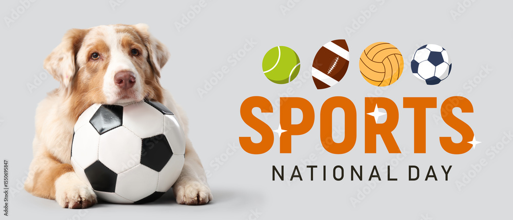 Fototapeta premium Cute Australian Shepherd dog with soccer ball lying on light background