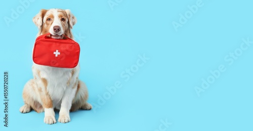 Cuadro en lienzo Cute  dog with first aid kit on blue background with space for text