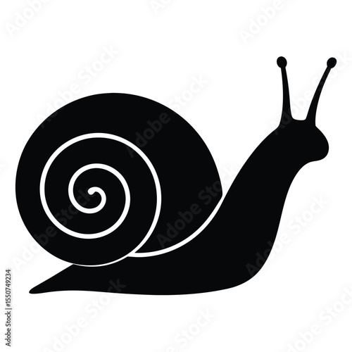 Simple black and white vector illustration of a snail with a detailed shell design