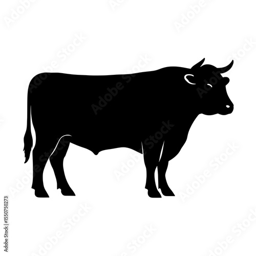 Majestic Welsh Black Cattle Silhouette on White Background