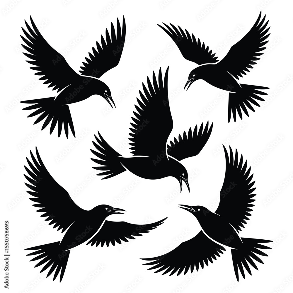 Fototapeta premium Five Birds in Flight: A Monochrome Avian Art Print