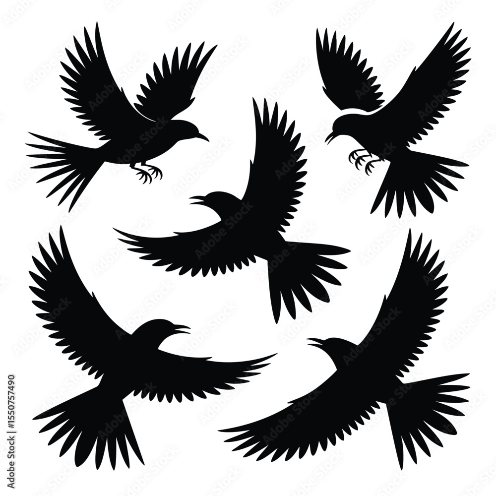 Fototapeta premium Five Black Birds in Flight: Silhouette Art for Design Projects