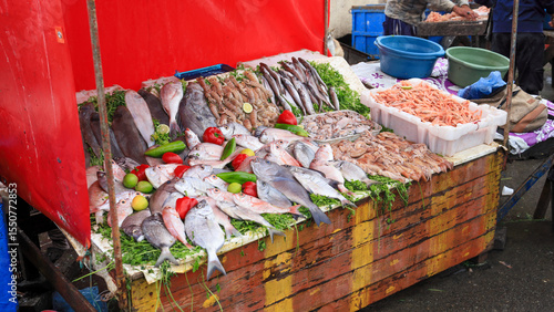 モロッコ　エッサウィラ　城塞と魚市場がある街の風景