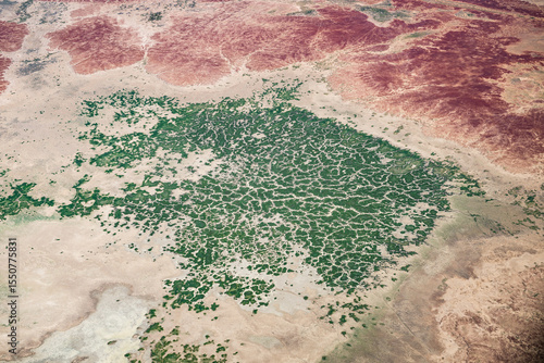 Desert dunes, gibber rock and vegetation