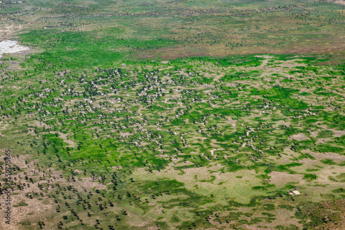 Vibrant green landscape near Birdsville post-flood