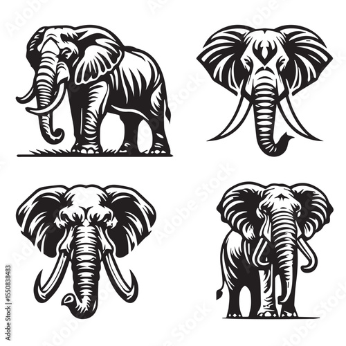 elephant_group_vector_image