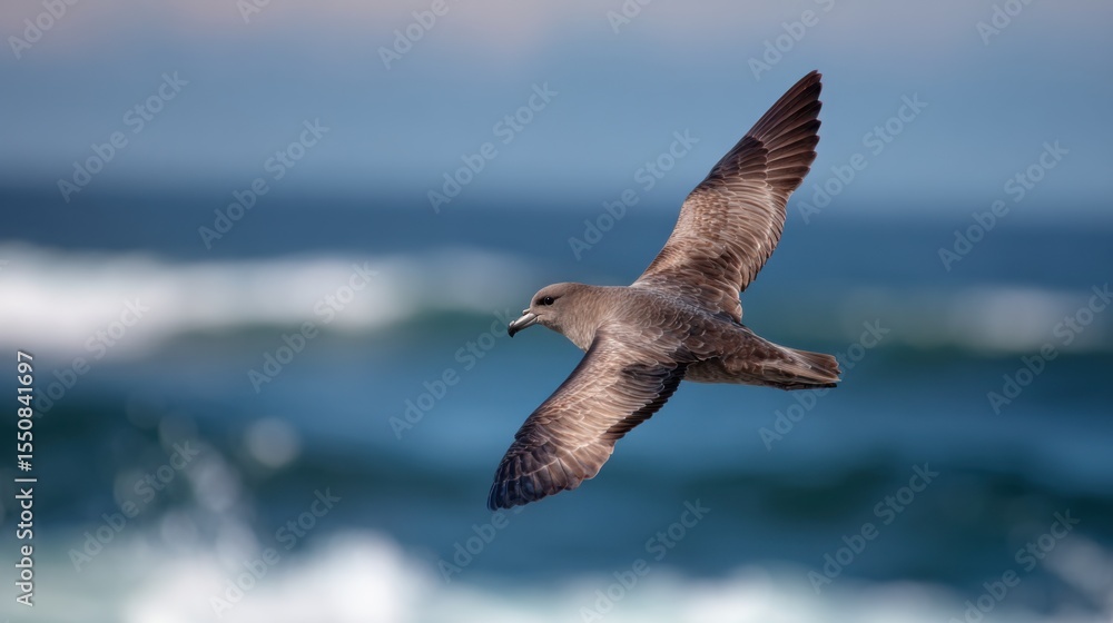 Majestic Bird Gracefully Soaring Above the Vast Turquoise Ocean Waves under a Clear Blue Sky Creating a Tranquil and Serene Coastal Scene Majestic Bird Gracefully Soaring Above the Vast Turquoise Ocean Waves under a Clear Blue Sky Creating a Tranquil and Serene Coastal Scene