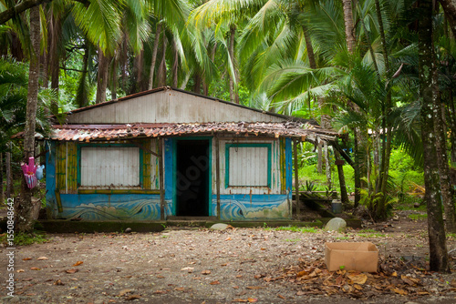 фотографія Costa Rican Beachfront Hut Shrouded in Pam Trees