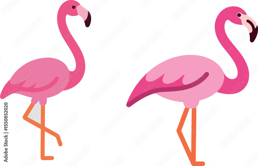 Obraz premium Pink Flamingos Standing Gracefully with Long Legs and Curved Beaks
