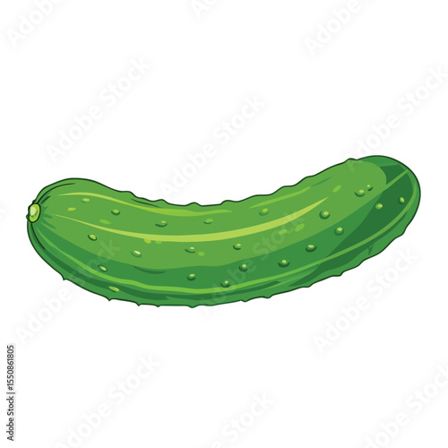 Fresh green cucumber vegetable isolated on white background vector illustration