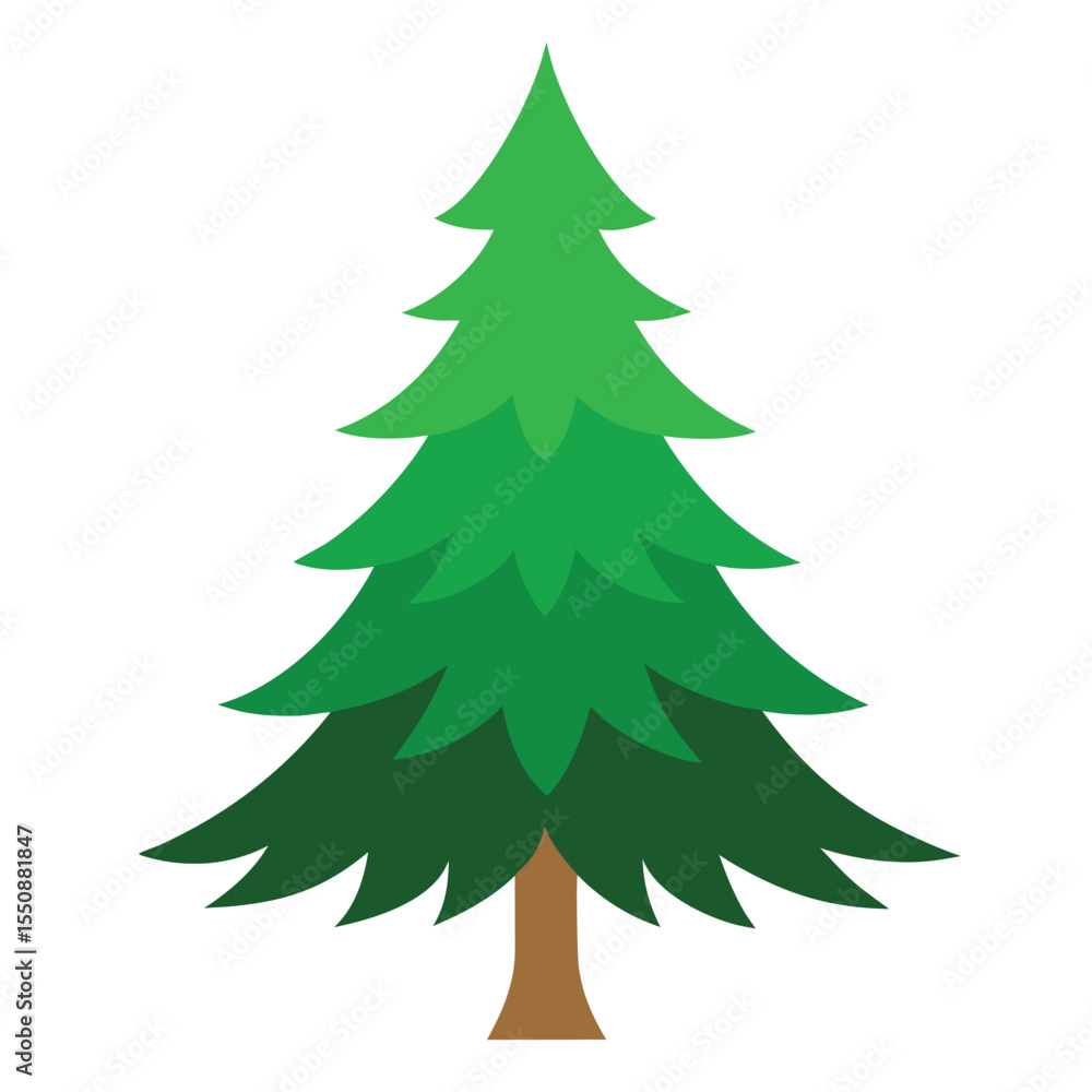 Balsam Fir Tree Vector Illustration Christmas tree vector Balsam Fir Tree Vector Illustration Christmas tree vector