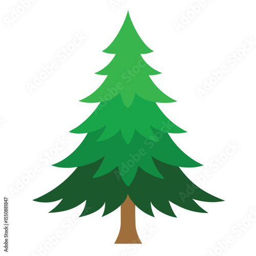 Balsam Fir Tree Vector Illustration Christmas tree vector 