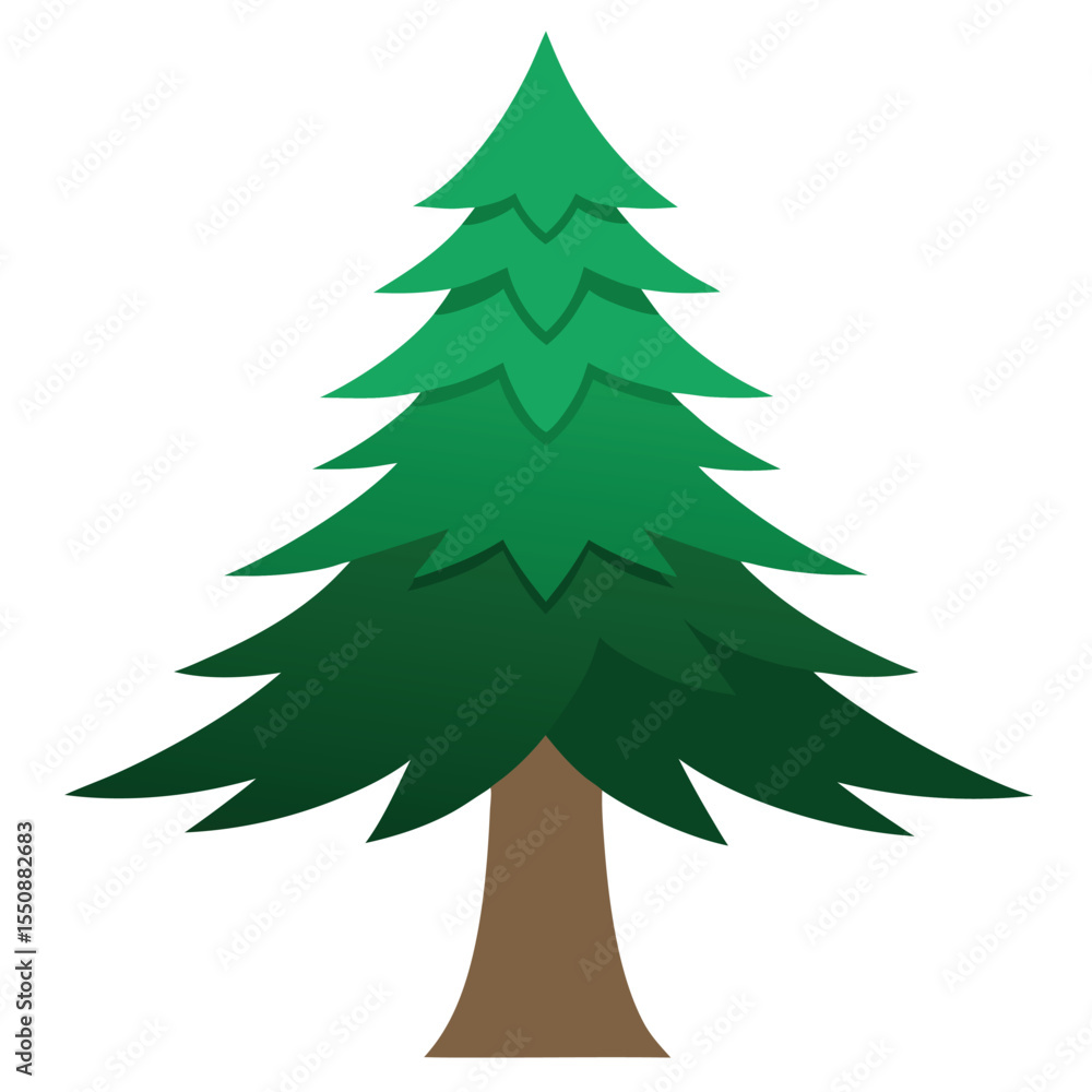 Fototapeta premium Douglas Fir Tree Vector Illustration Christmas tree vector 