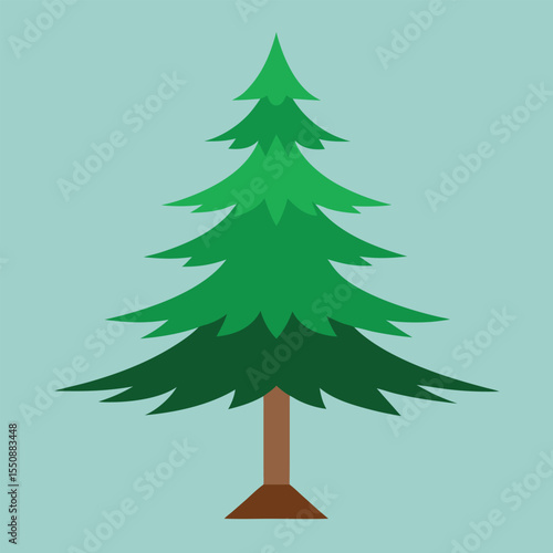 christmas tree vector illustration Loblolly Pine Tree Vector 