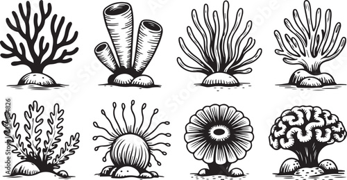 This image features an underwater landscape dominated by various coral and sea plant formations, rendered in detailed black and white line art, suggesting a vibrant ocean floor.