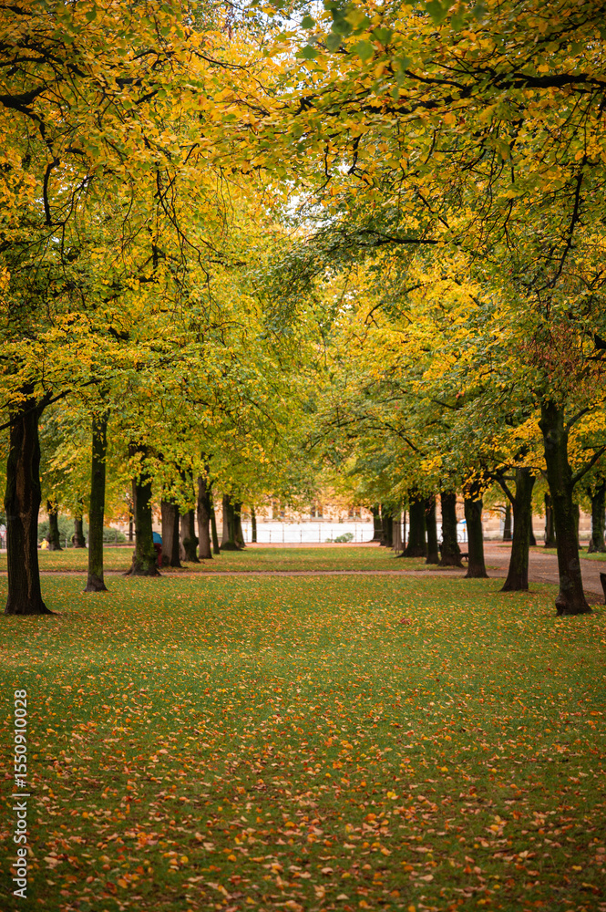 Fototapeta premium Nature in Autumn