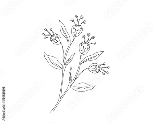 Beautiful flower outline drawing illustration. one continuous line drawing of topical flower.