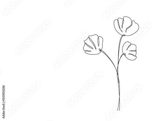 Beautiful flower outline drawing illustration. one continuous line drawing of topical flower.