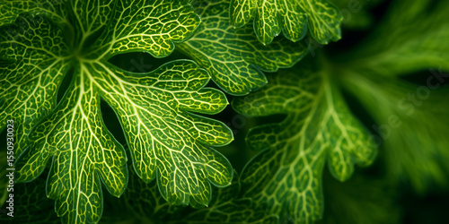 Vibrant green leaves creating natural artistic pattern