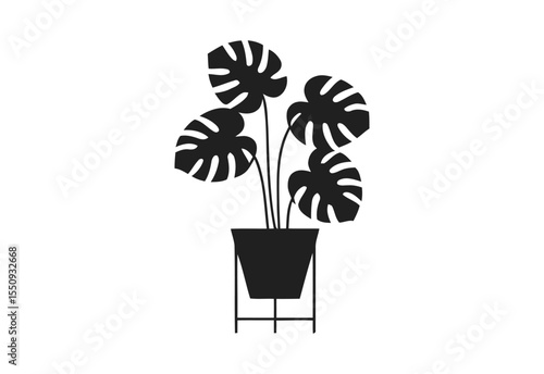 Monstera deliciosa plant in a black pot on a minimalist stand silhouette