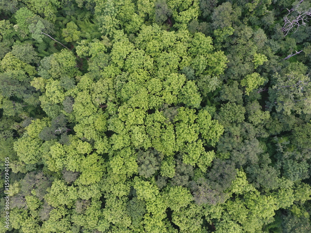 Naklejka premium Top View Aerial Photograph