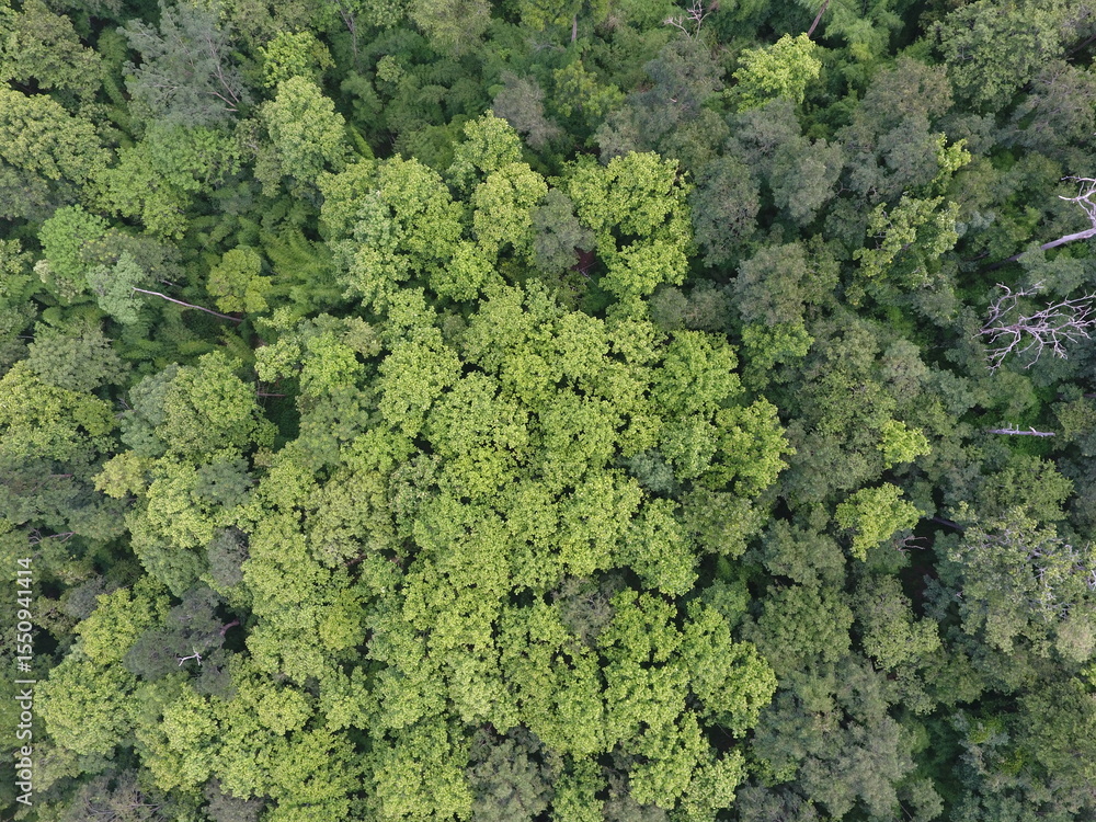 Naklejka premium Top View Aerial Photograph