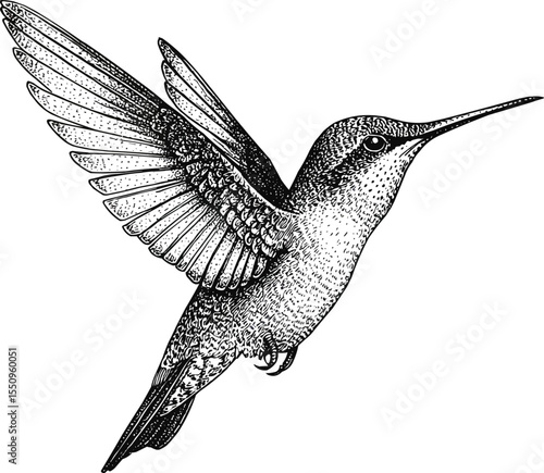 Flying Hummingbird in Black Ink Illustration,Generative Ai
