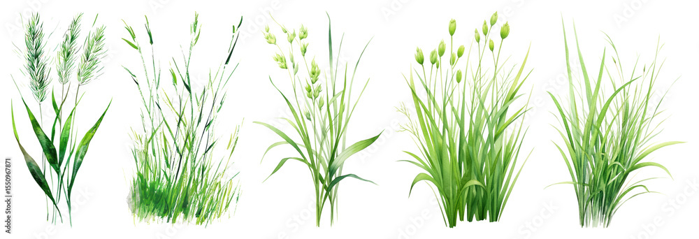 Naklejka premium PNG Lush green grass plants variety, element set on transparent background