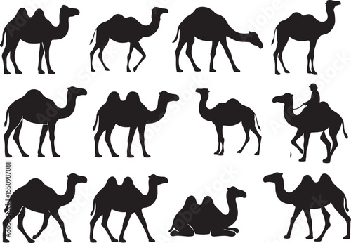 Collection of camel silhouettes in various poses