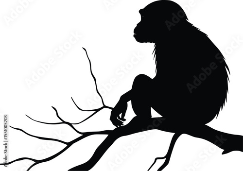 Serene chimpanzee silhouette perched on a branch: editable vector illustration, perfect for wildlife conservation projects and zoological designs.