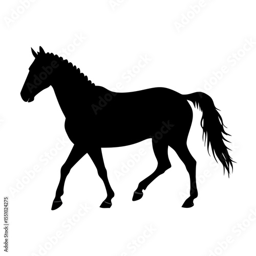 Horse Riding Cartoon Illustration for Kids, Cute Equestrian Clipart, Saddle Pony Drawing, Riding School Art, Animal Training Design

