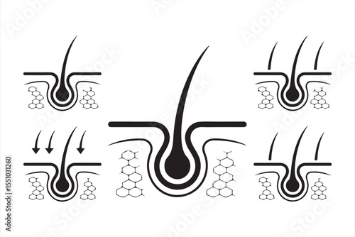 Hair and skin integration illustration with hexagonal dermal cells