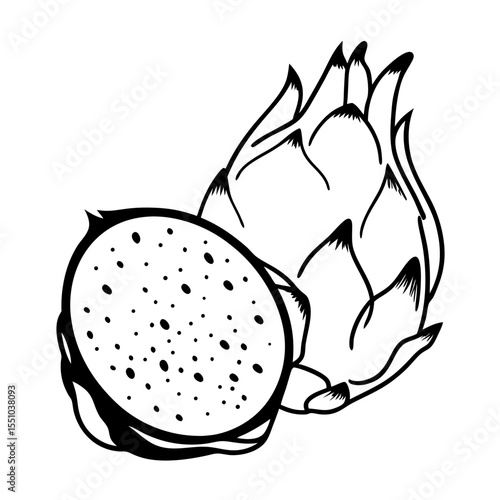 Dragon Fruit Illustration Line Art of Pitaya, Exotic Fruit, Tropical Fruit