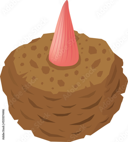 こんにゃく芋のアイコン