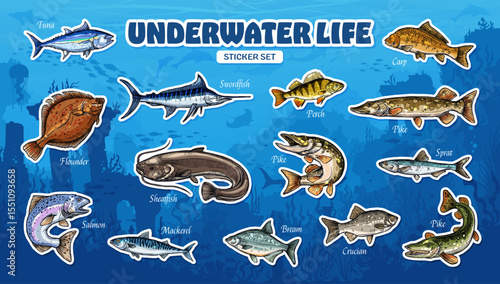 Sketch sea fish stickers, fishing sport and seafood. Vintage hand drawn salmon, tuna, mackerel, flatfish or flounder ocean water animals. Carp, bream, pike and perch river fish stickers pack
