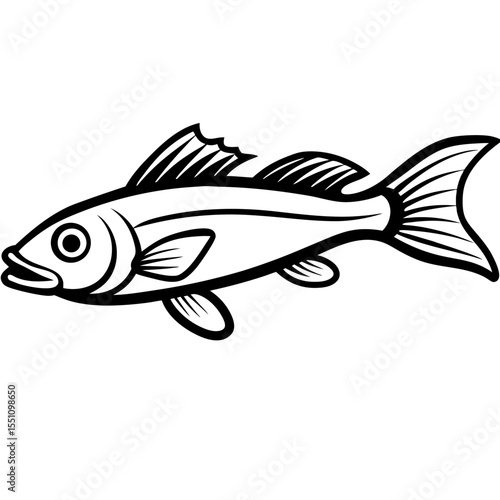 Simple Zander Fish Contour Illustration