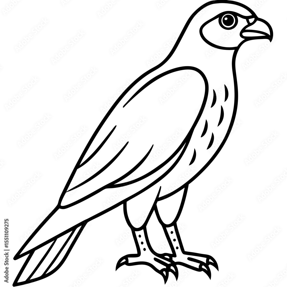 Fototapeta premium Sparrowhawk White Ink Design