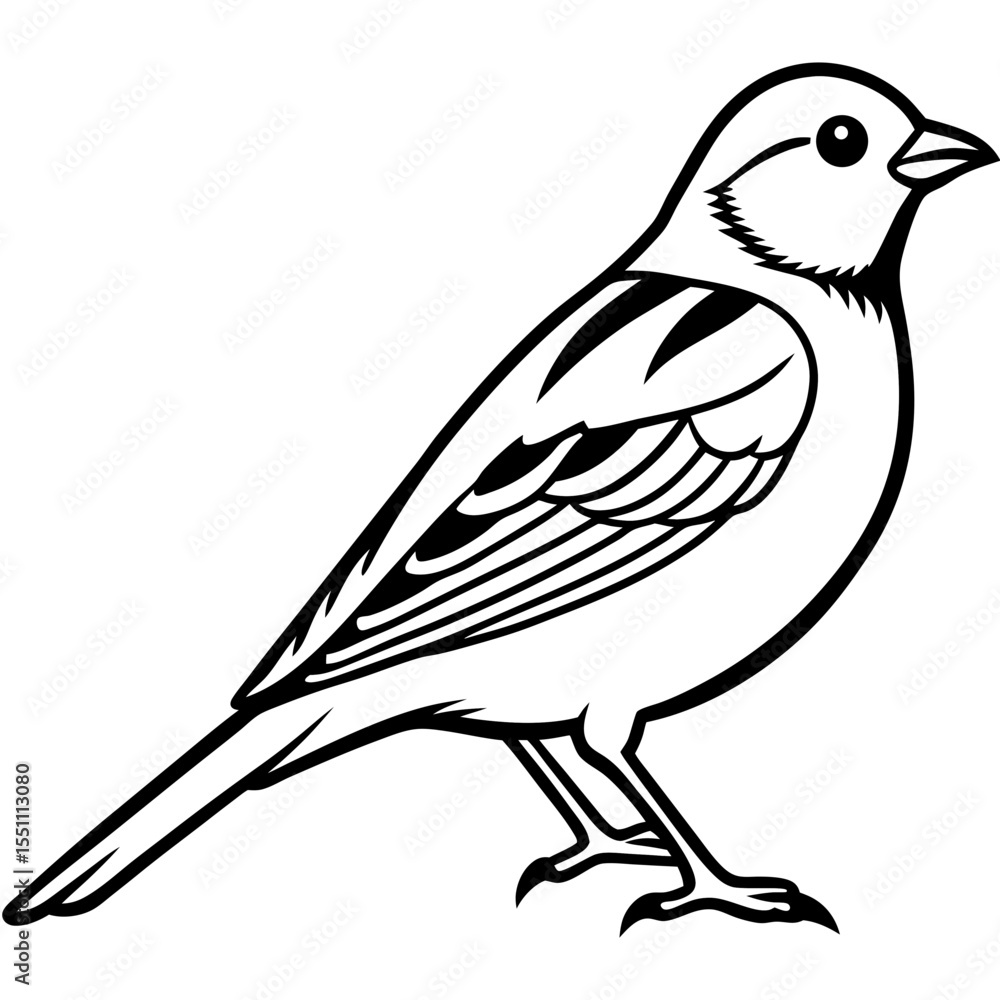 Obraz premium Stylized Yellowhammer Contour Vector Art
