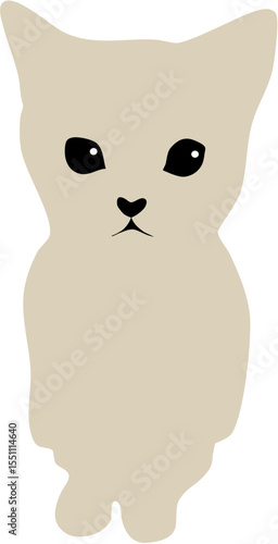 cute kitten standing with two legs and looking with big eyes meme
