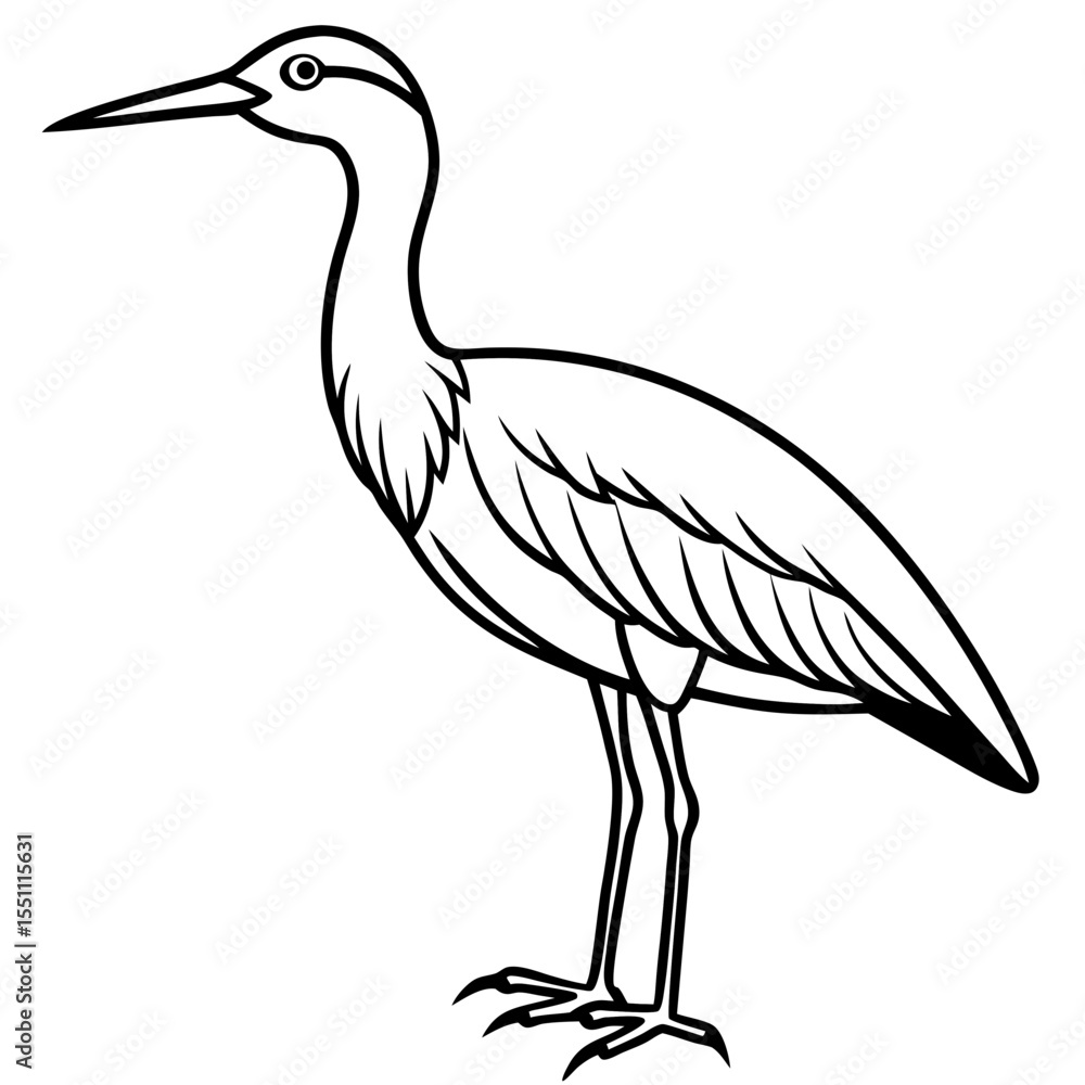 Obraz premium Whimbrel Minimalist Line Art Illustration